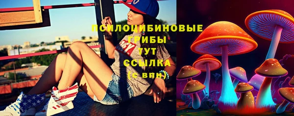 2c-b Аркадак