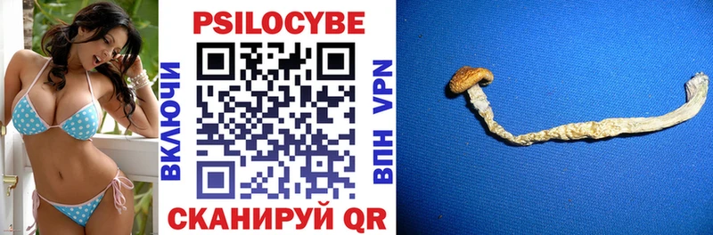 Псилоцибиновые грибы GOLDEN TEACHER  Купить где  Северобайкальск 