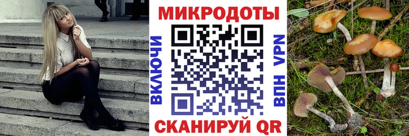 Псилоцибиновые грибы мухоморы Северобайкальск